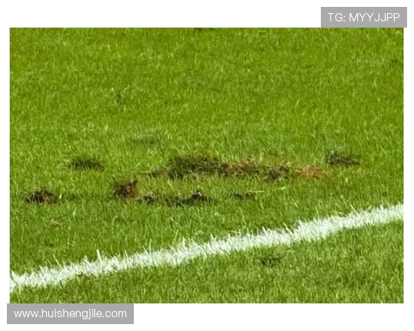 西安国际足球中心草皮进步有限问题依旧存在