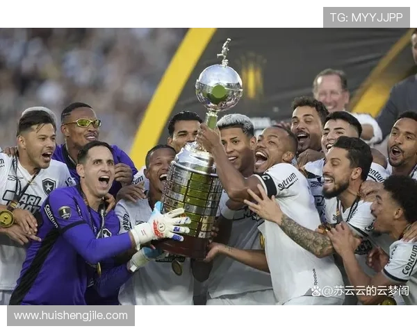 解放者杯欧洲球员身价排行揭秘